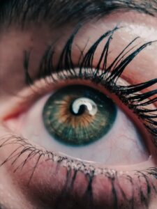 human eye