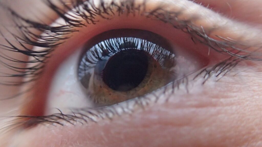 extreme close up of woman eye